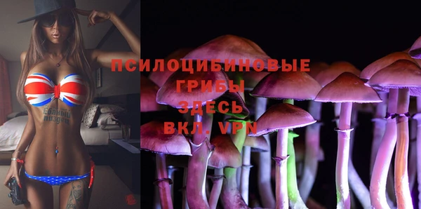 a pvp Дмитриев