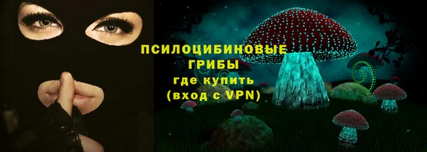 ECSTASY Дмитровск