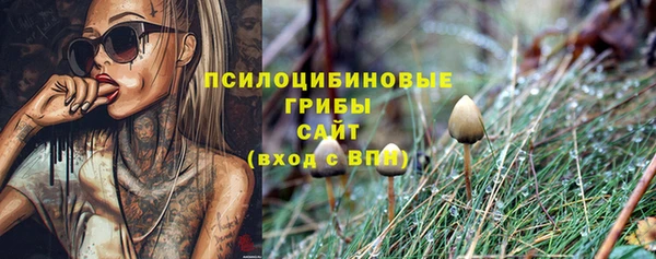 ECSTASY Дмитровск