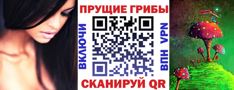Галлюциногенные грибы мицелий  Благовещенск 